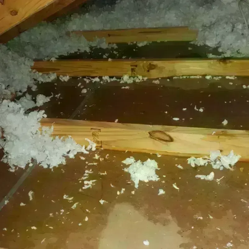 Attic Water Damage in Lancaster Mill, SC